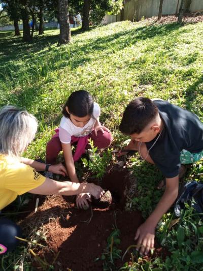 UFFS e Escola Agua Verde realizam plantio de Ã¡rvores atravÃ©s projeto Ponto De Cultura
